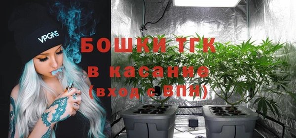 стаф Абаза