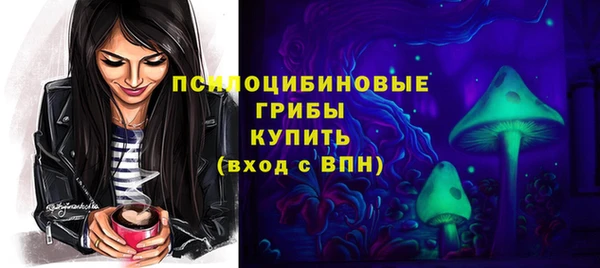 стаф Абаза