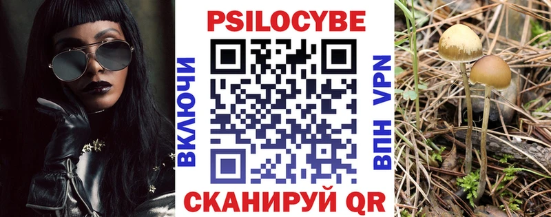 Галлюциногенные грибы MAGIC MUSHROOMS Советский