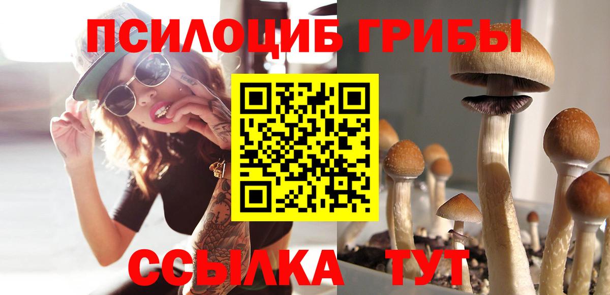 наркота  Псилоцибиновые грибы Psilocybe  Вход с VPN  Советский 