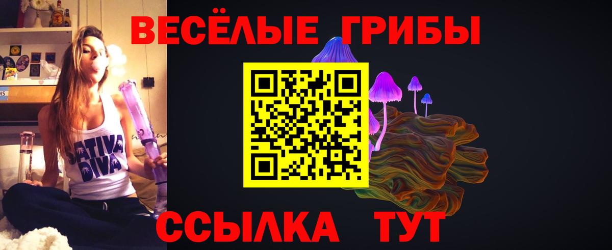 Псилоцибиновые грибы Cubensis Советский